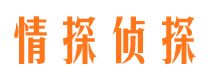 中沙外遇出轨调查取证